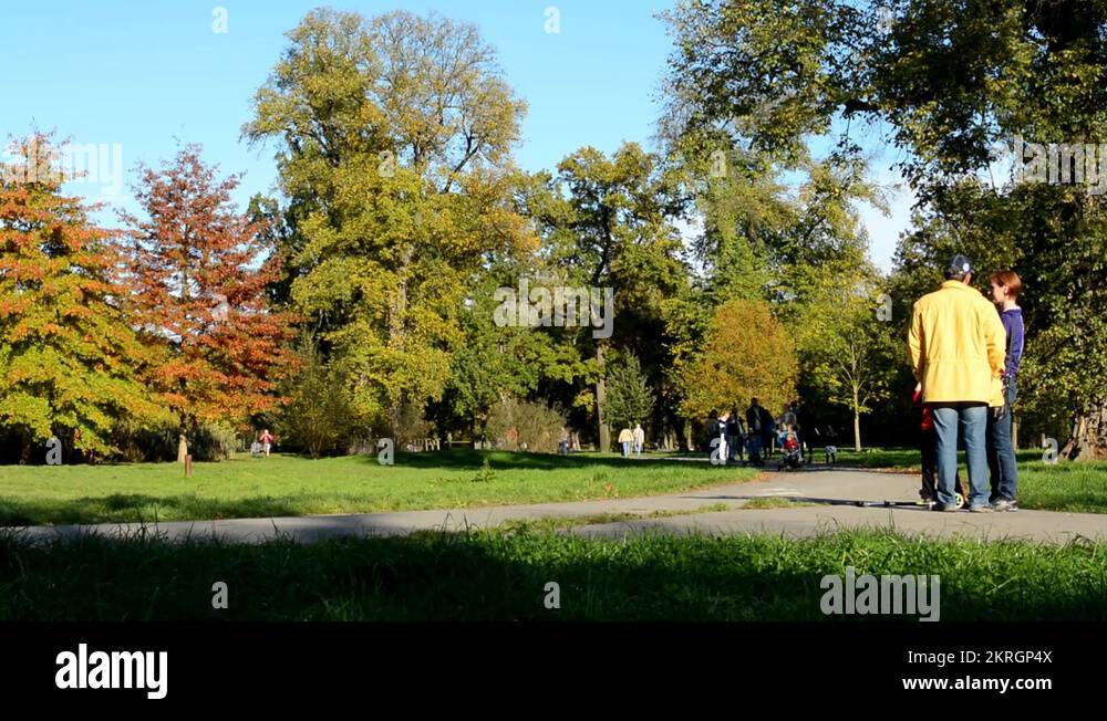 People walking forest scene trees nature pathway Stock Videos & Footage ...