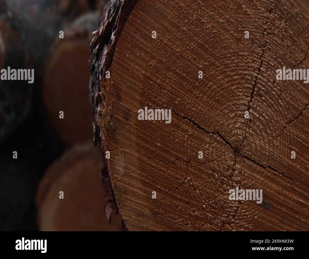 Saw marks Stock Videos & Footage HD and 4K Video Clips Alamy