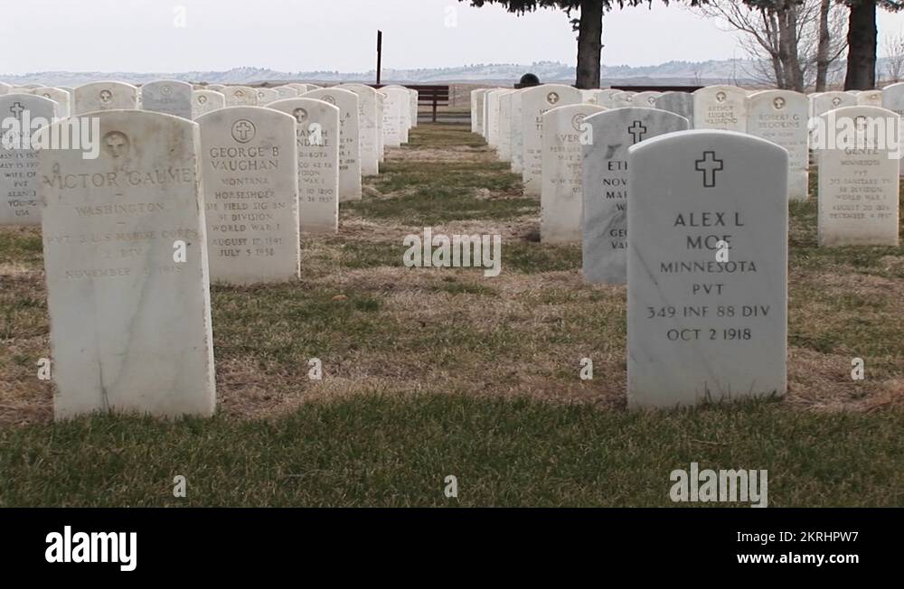 Rows of white headstones Stock Videos & Footage HD and 4K Video Clips