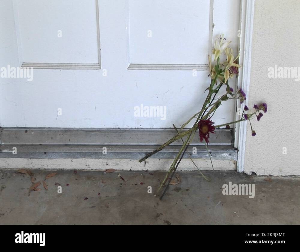 Doorstep flowers Stock Videos & Footage HD and 4K Video Clips Alamy