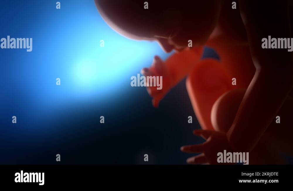 Human fetus opening eyes in a womb closeup. Blue background Stock Video