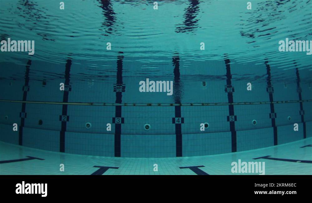 Olympic swimming pool Stock Videos & Footage - HD and 4K Video Clips ...