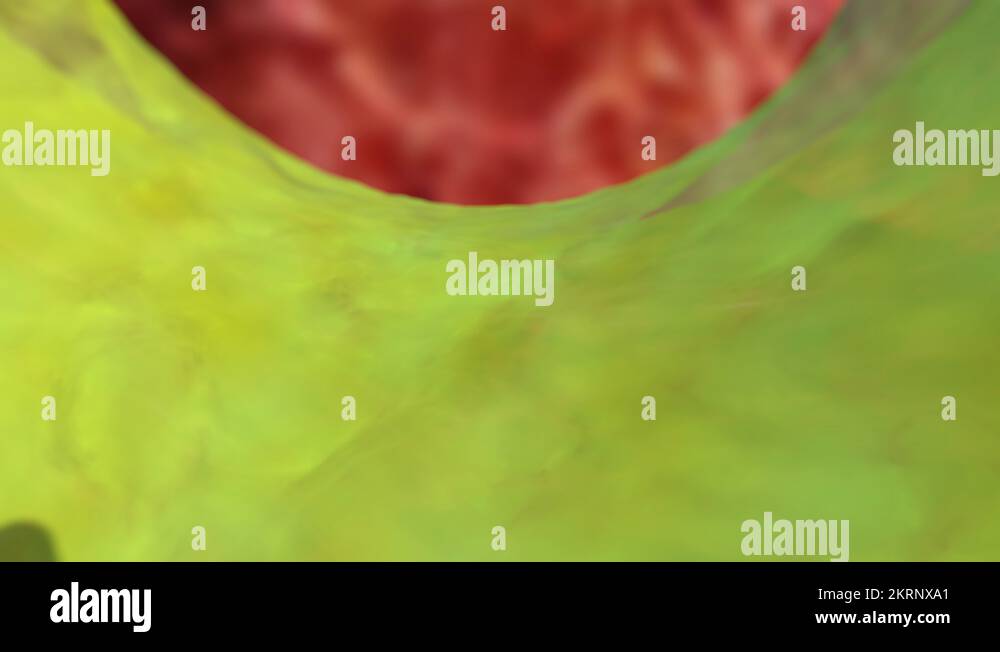 3D animation of the action mechanism of antacid tablet, 4K Ultra HD