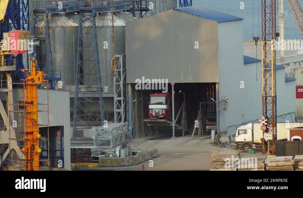 Unloading grain trucks on the hydraulic lift on grain elevator in cargo