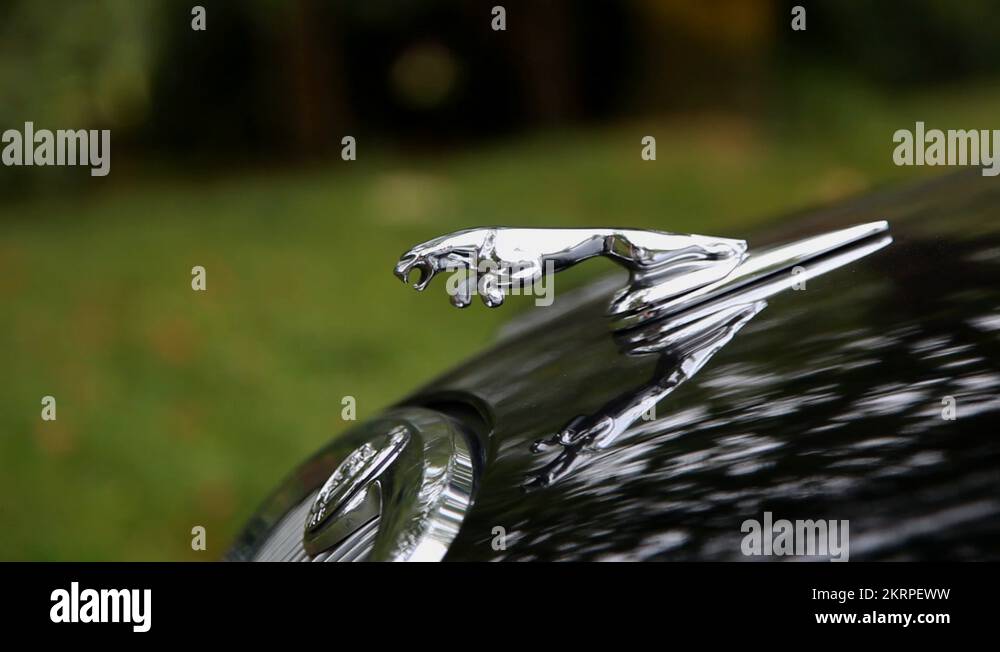 Jaguar car emblem Stock Videos & Footage HD and 4K Video Clips Alamy