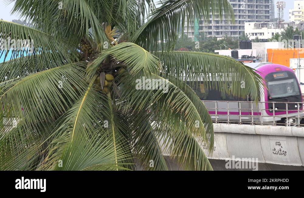 Tree transportation Stock Videos & Footage HD and 4K Video Clips Alamy