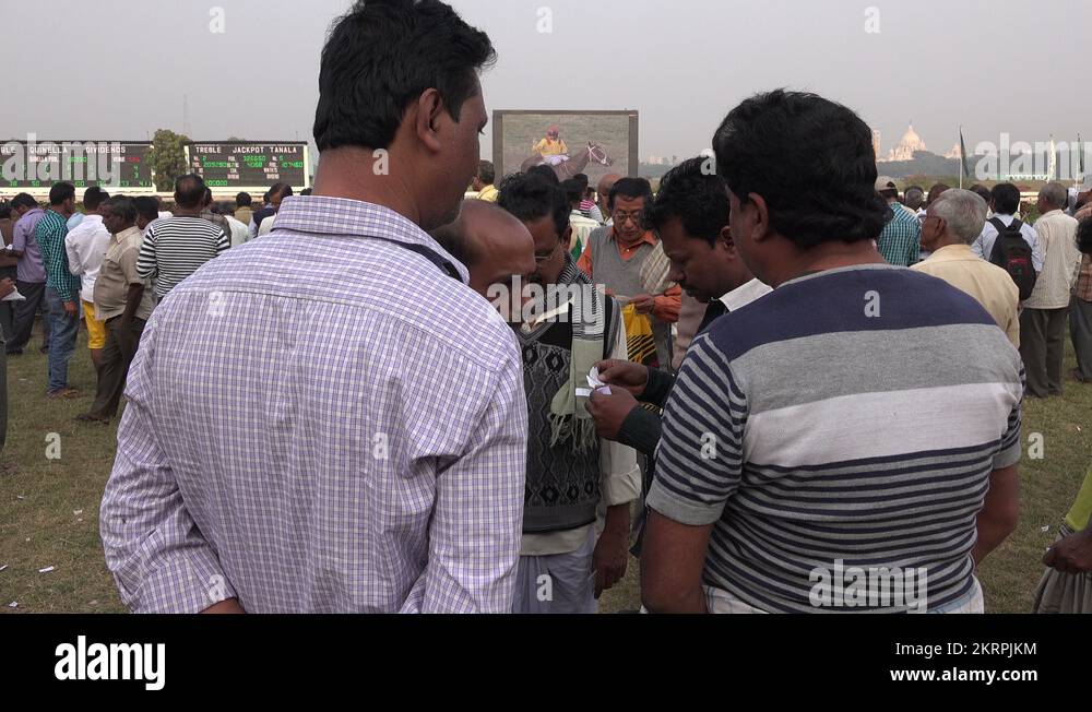 Horse debate Stock Videos & Footage HD and 4K Video Clips Alamy