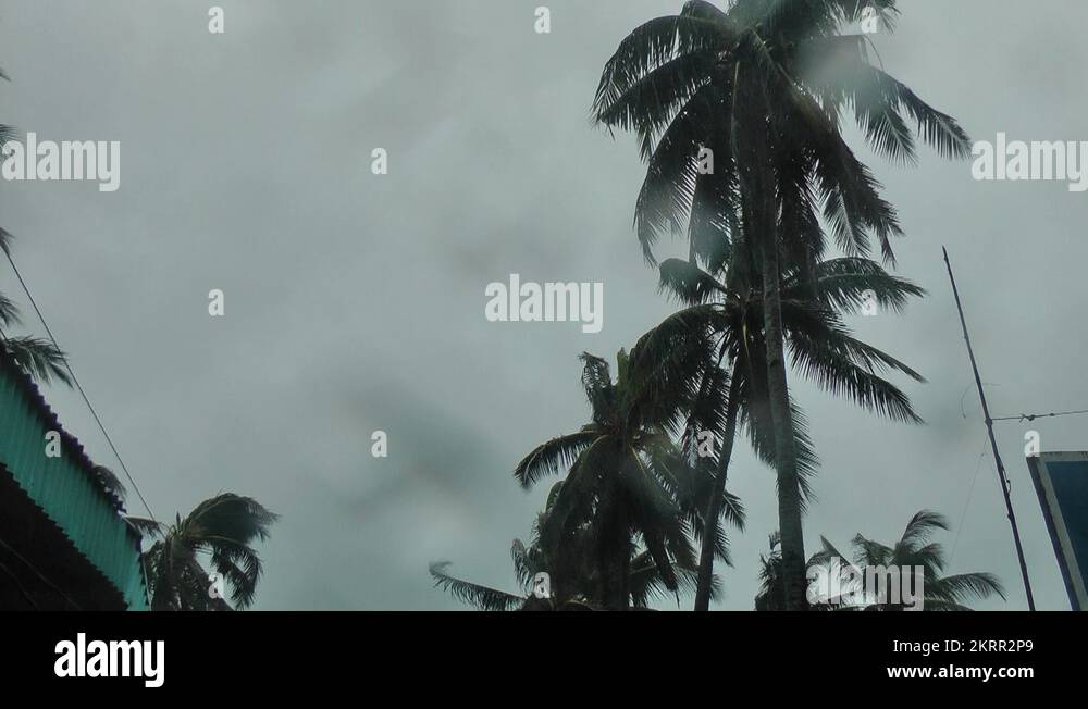 Typhoon damage philippines Stock Videos & Footage HD and 4K Video