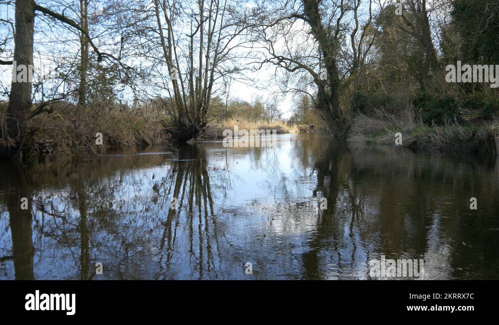 Jungle holidays Stock Videos & Footage HD and 4K Video Clips Alamy