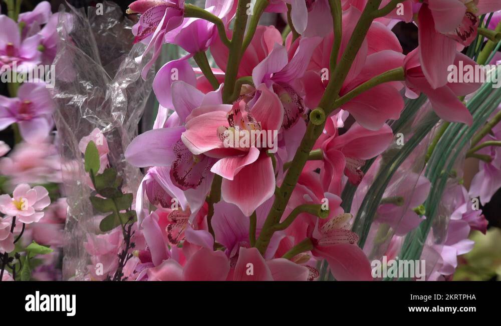 Chinese New Year flowers in Petaling Street, Kuala Lumpur, Malaysia