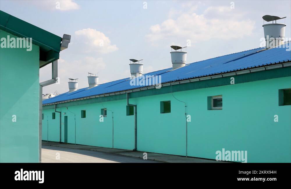 new-modern-pig-farm-exterior-stock-video-footage-alamy