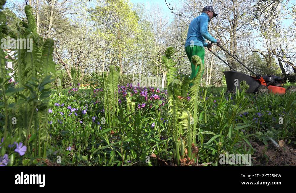 Plants cutter Stock Videos & Footage HD and 4K Video Clips Alamy
