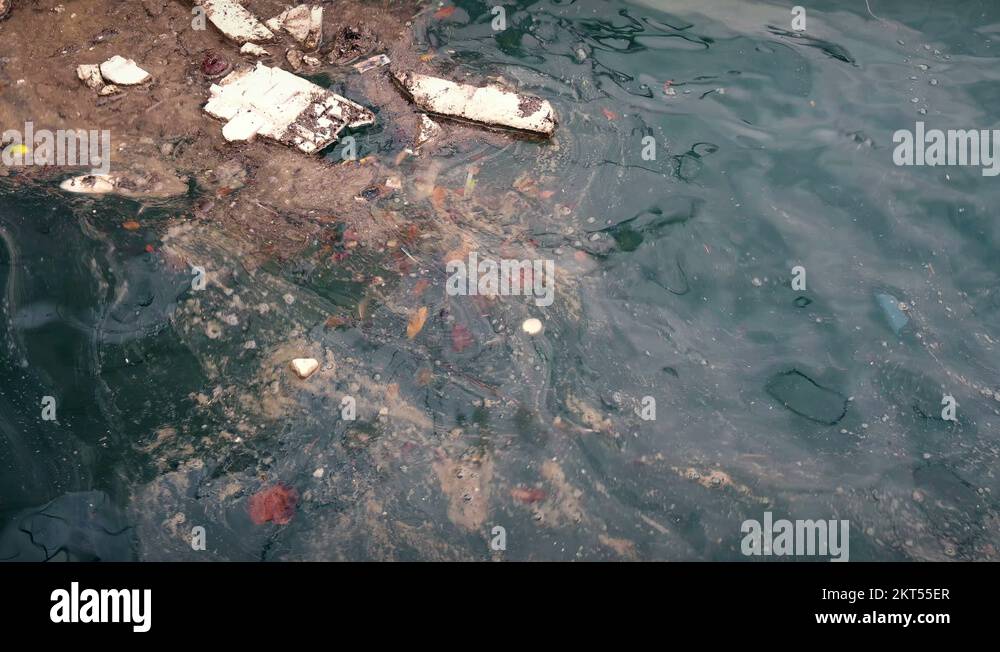 Flotsam float Stock Videos & Footage HD and 4K Video Clips Alamy