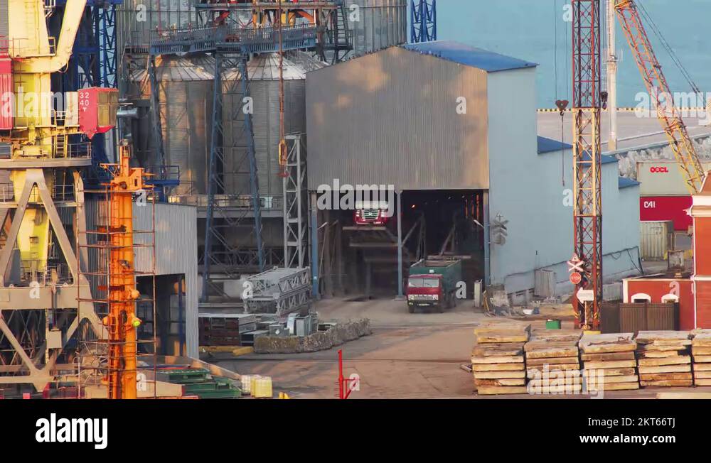 Unloading grain trucks on the hydraulic lift on grain elevator in cargo