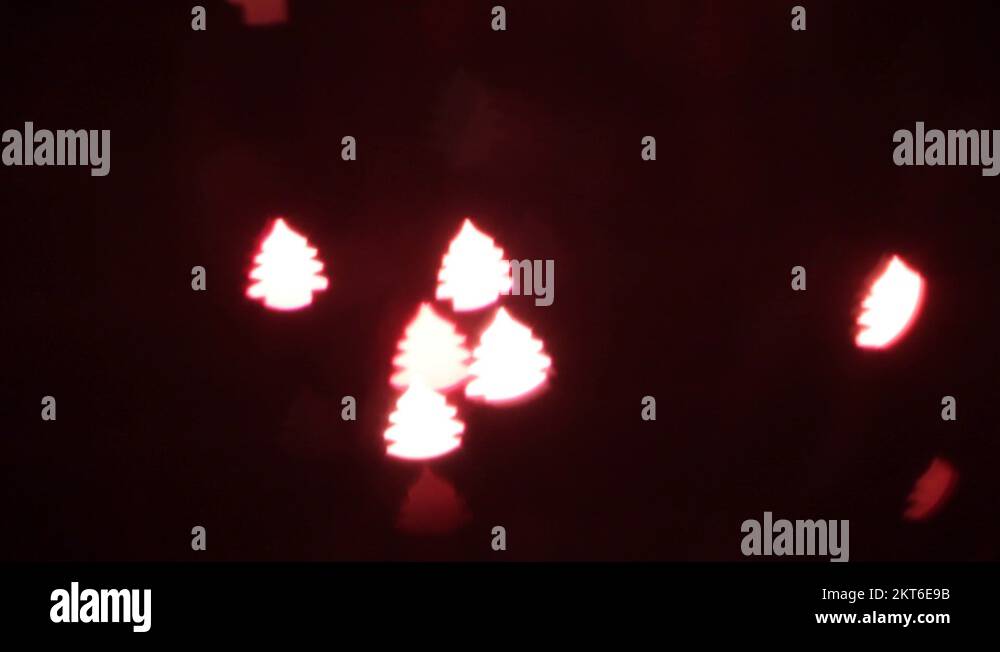 Christmas trees border frame Stock Videos & Footage HD and 4K Video