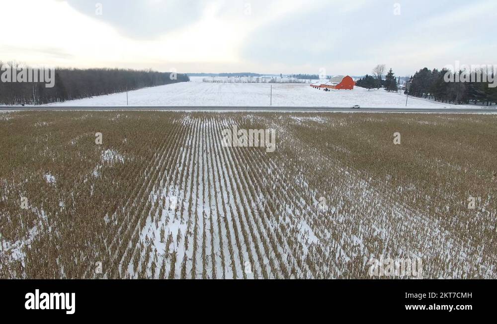 Winter corn field Stock Videos & Footage - HD and 4K Video Clips - Alamy