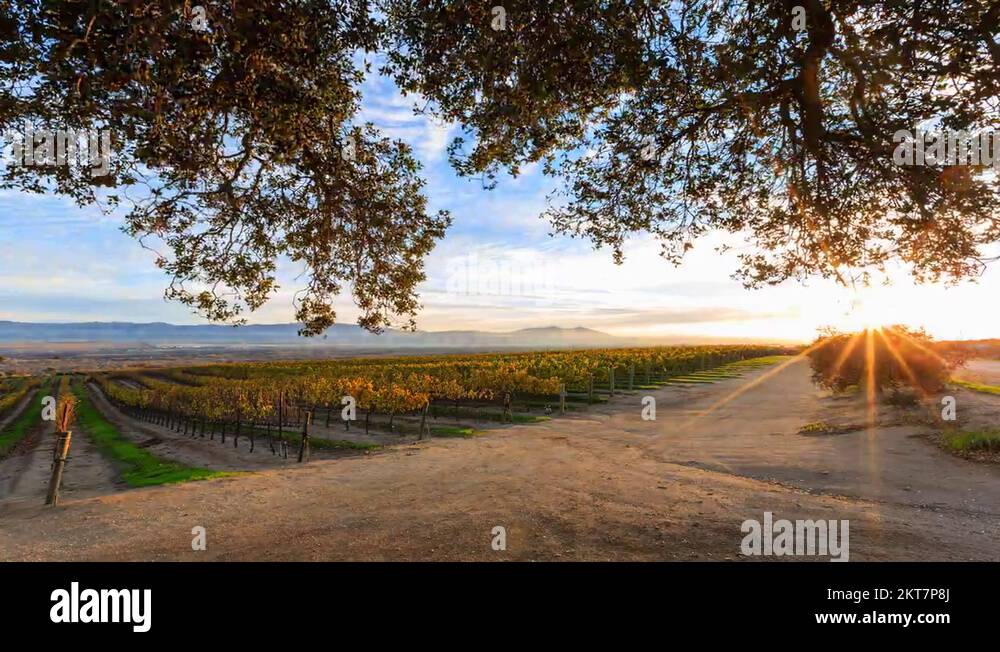 Salinasvalley Stock Videos & Footage - HD and 4K Video Clips - Alamy