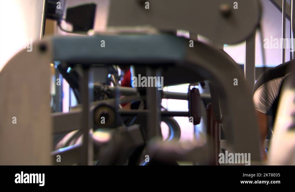 Chest chests Stock Videos & Footage HD and 4K Video Clips Alamy