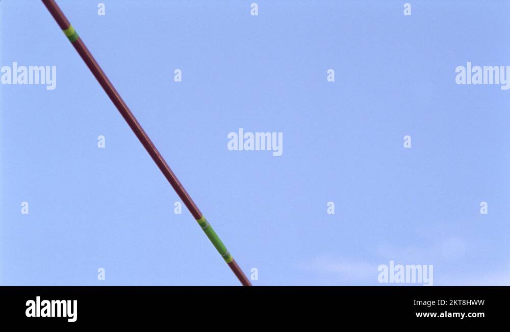 Pole vaulters Stock Videos & Footage HD and 4K Video Clips Alamy