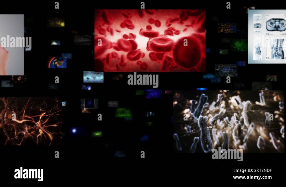 Video wall with multiple medical clips. Medical. Black background