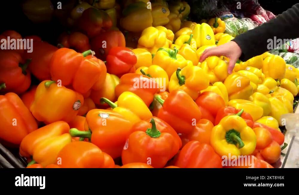 Woman selecting yellow pepper in grocery store produce department Stock