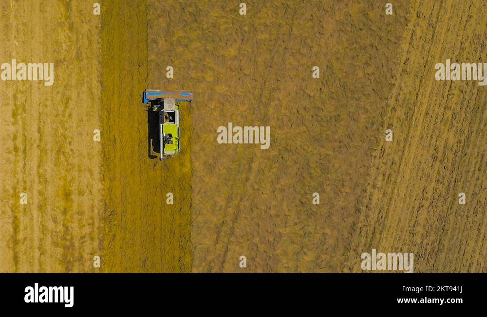 Birdseye view aerial drone footage of a combine harvester in slow