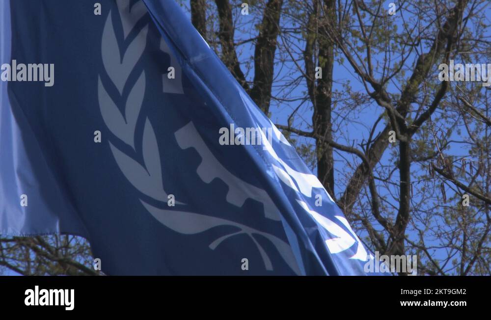 Ilo symbol Stock Videos & Footage - HD and 4K Video Clips - Alamy