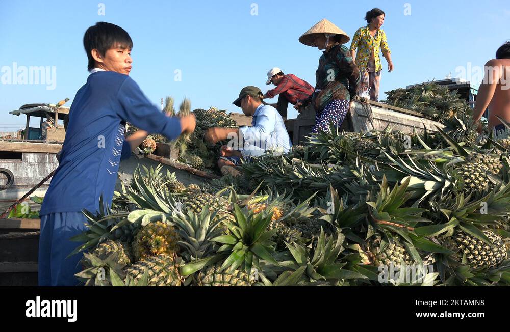Trading pineapples at a floating fruit and vegetable market in Vietnam