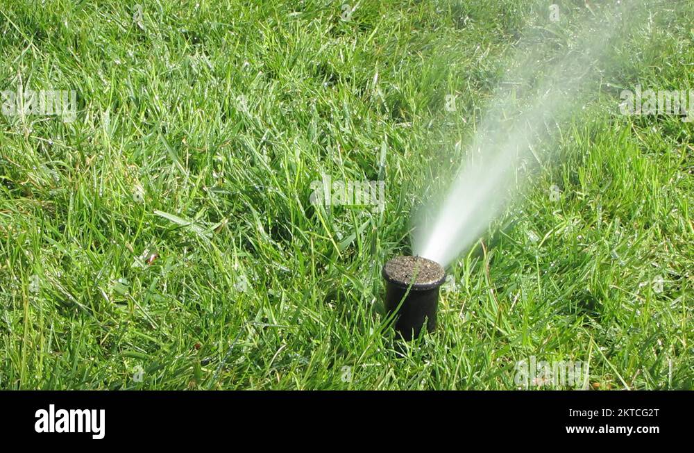 Showering plants Stock Videos & Footage HD and 4K Video Clips Alamy