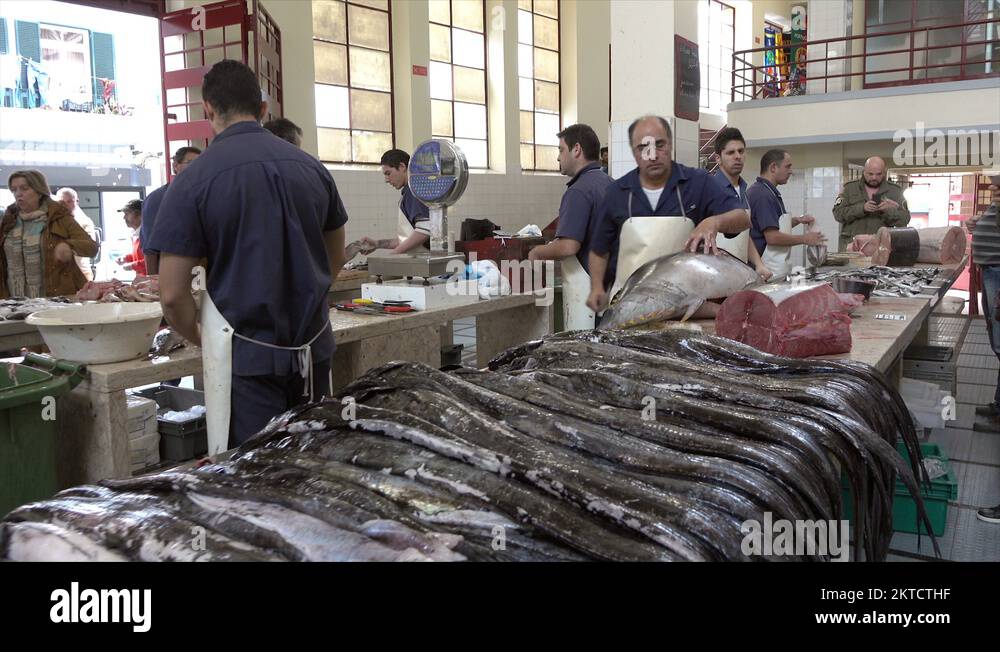 Portuguese fish market Stock Videos & Footage HD and 4K Video Clips