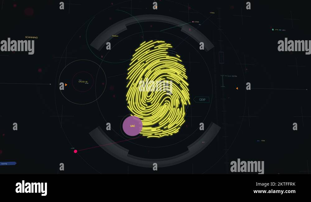 Fingerprint identification system Stock Videos & Footage - HD and 4K ...