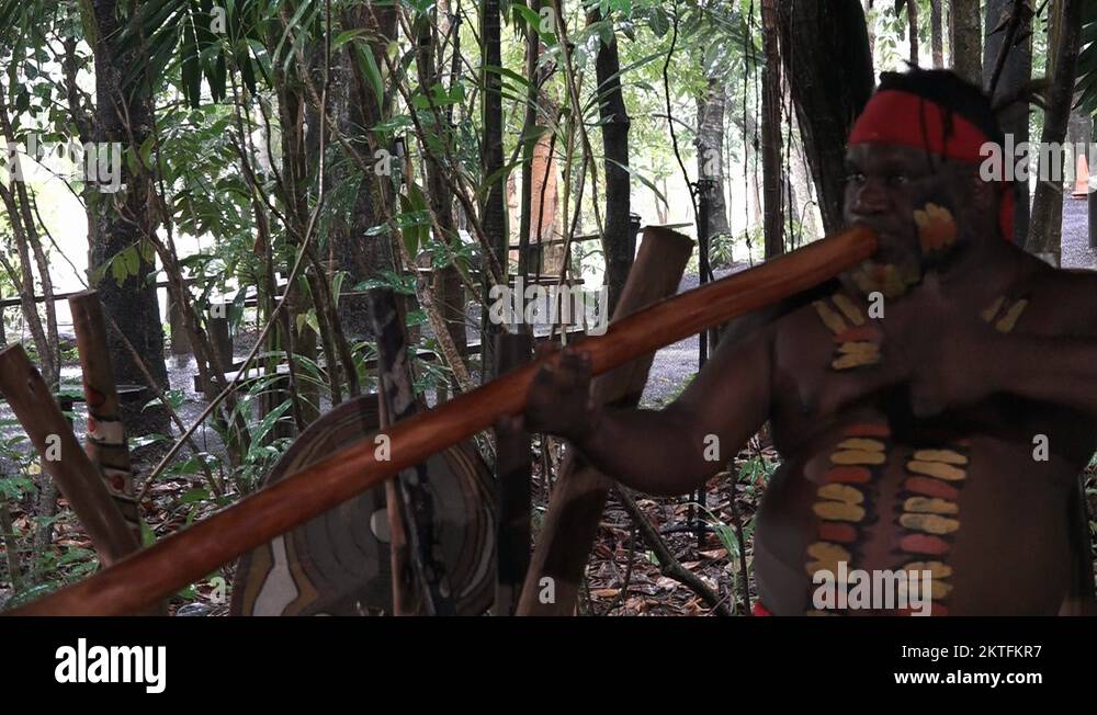 Didgeridoo australian aboriginal musical Stock Videos & Footage HD
