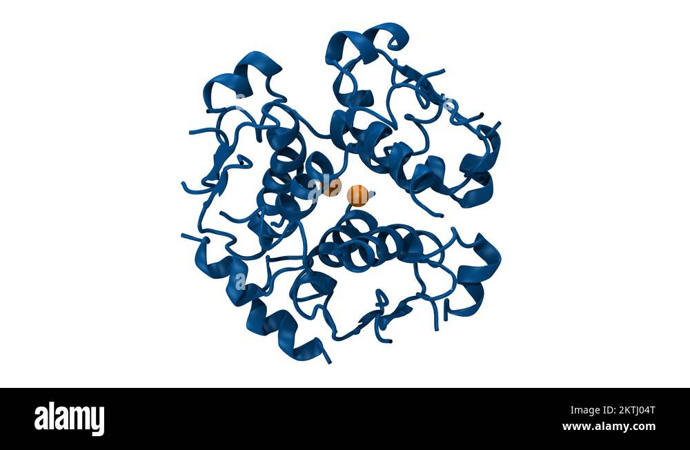 Insulin, molecular model Stock Video Footage - Alamy