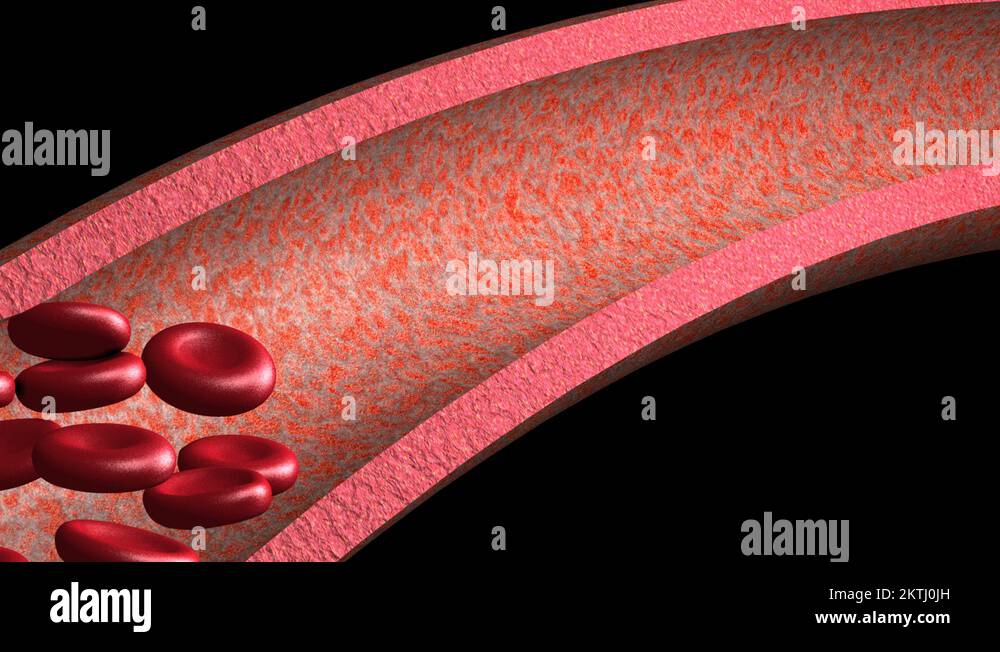 Capillary blood cells Stock Videos & Footage HD and 4K Video Clips