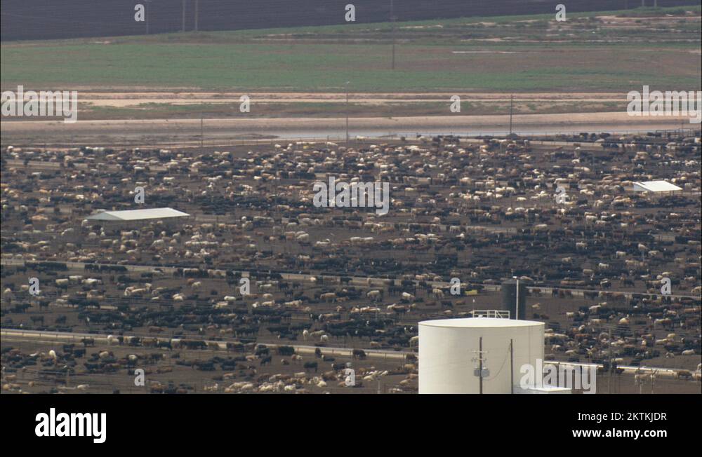 Stockyardbyherefordairport Stock Videos & Footage HD and 4K Video