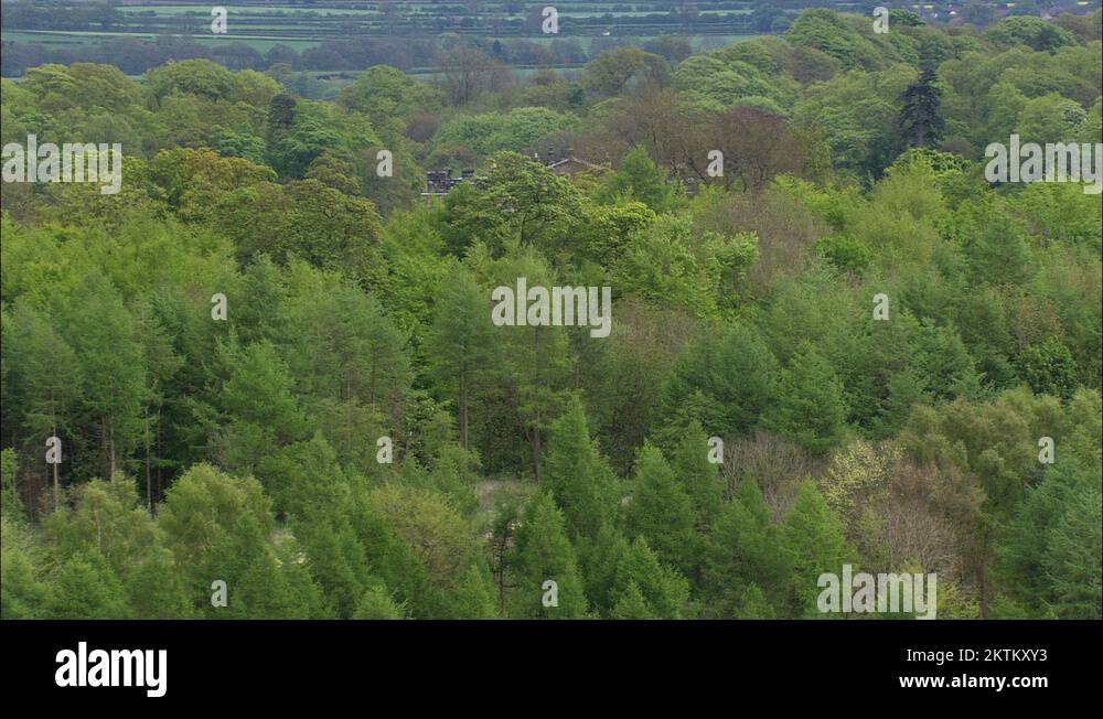 Stock Videos & Footage HD and 4K Video Clips Alamy