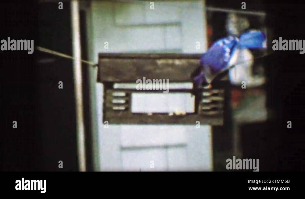 Blue jay bird house Stock Videos & Footage - HD and 4K Video Clips - Alamy