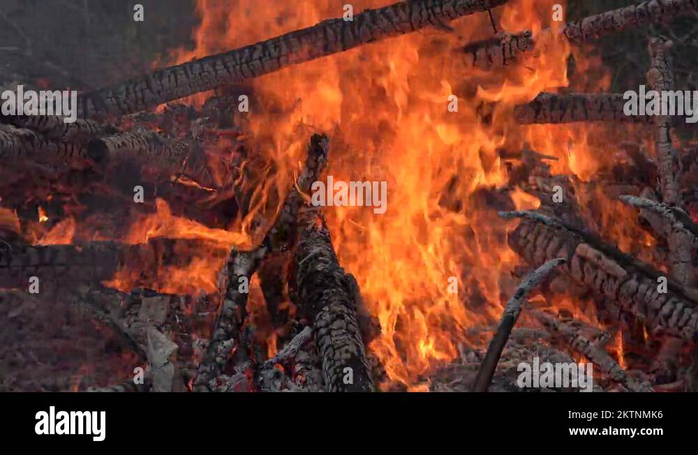 Burning wood fire flames close Stock Videos & Footage - HD and 4K Video ...