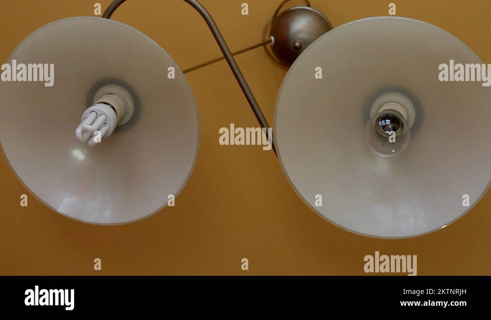 Eco friendly fluorescent bulb Stock Videos & Footage HD and 4K Video
