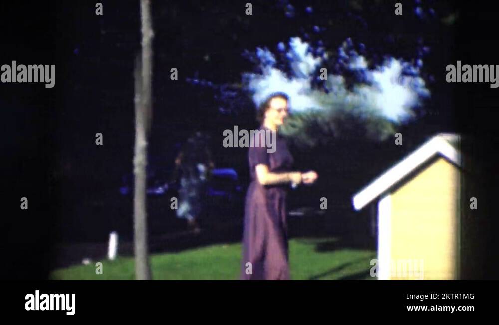 Yellow dog house Stock Videos & Footage HD and 4K Video Clips Alamy