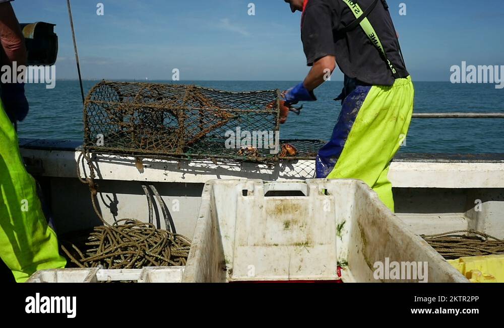 Fishing for Lobsters and Crabs at Sea using Lobster and Crab Pots Stock