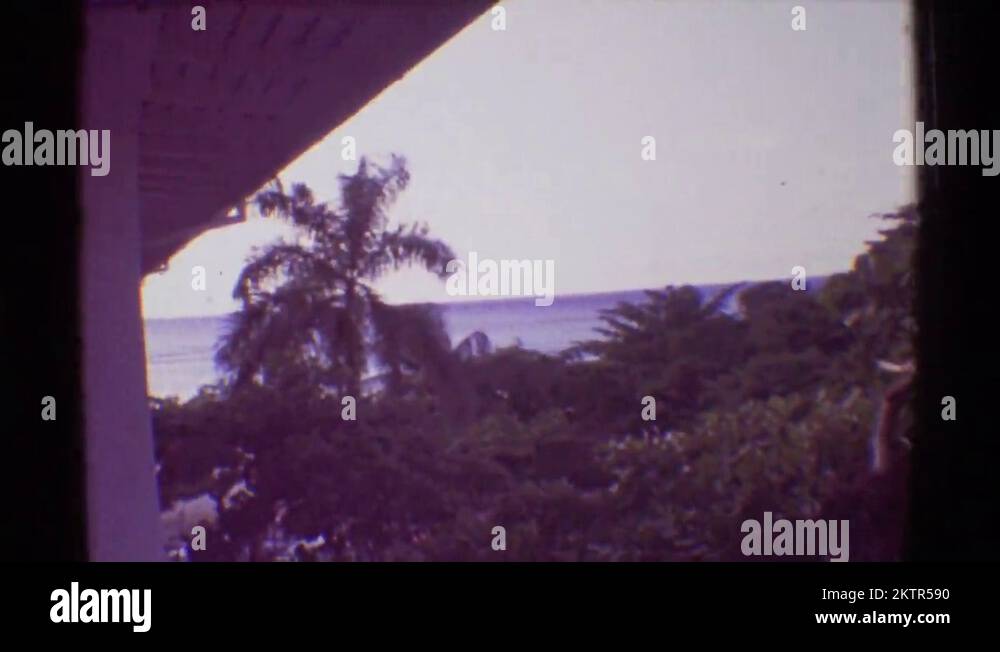 1971 a coastal area is seen with tall trees.HAWAII Stock Video Footage
