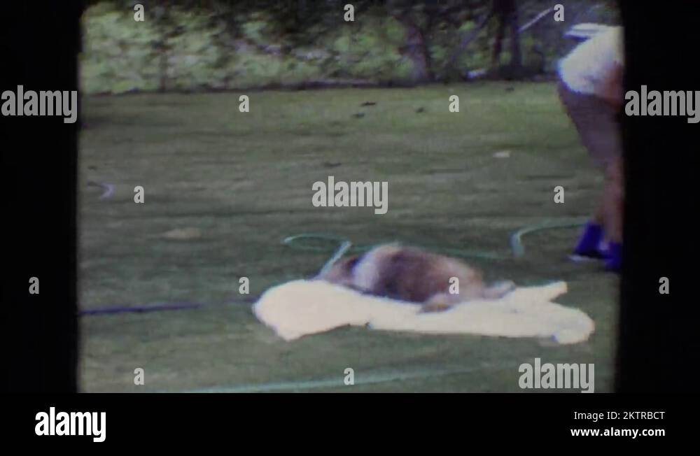 Wrong bed Stock Videos & Footage - HD and 4K Video Clips - Alamy