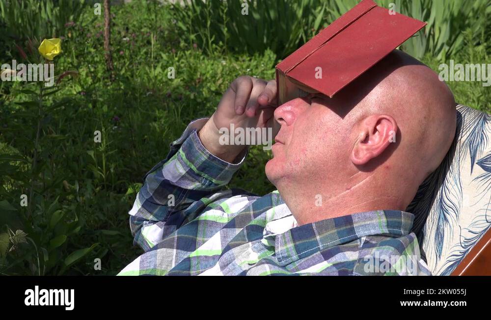 Sleeping head in book Stock Videos & Footage HD and 4K Video Clips