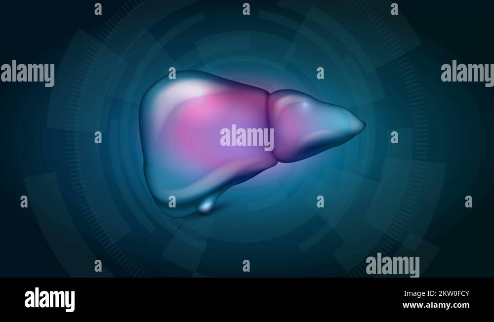Histology liver cirrhosis Stock Videos & Footage HD and 4K Video Clips Alamy