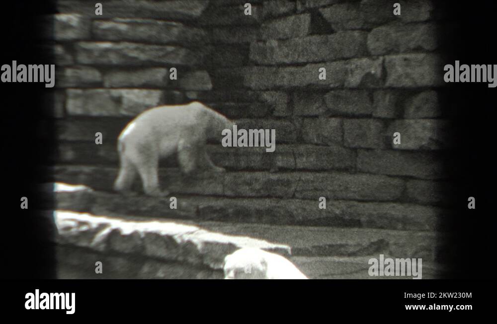 Interlocking platform Stock Videos & Footage HD and 4K Video Clips