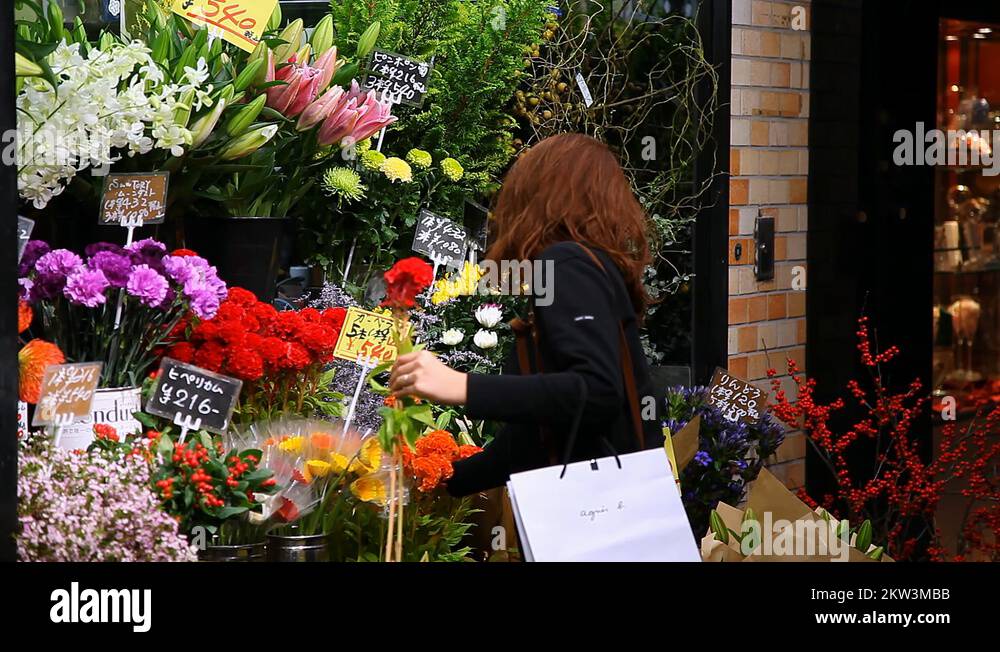 Japan flowers Stock Videos & Footage HD and 4K Video Clips Alamy