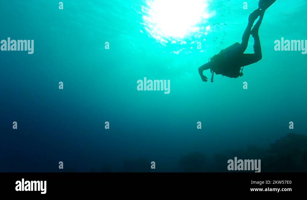 Scuba diver Stock Videos & Footage HD and 4K Video Clips Alamy