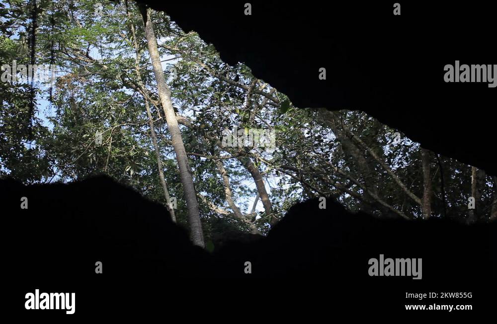 From cave Stock Videos & Footage - HD and 4K Video Clips - Alamy