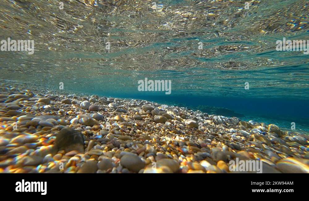 Underwater ocean scene Stock Videos & Footage - HD and 4K Video Clips ...